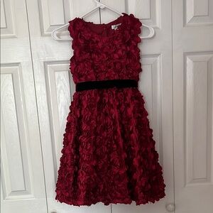 Gorgeous Red Roses Girl’s Dress.  Hand washable.